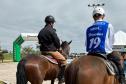 Terapia com cavalos oferecida pela PMPR colabora na qualidade de vida de pessoas com deficiência