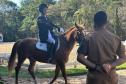 Terapia com cavalos oferecida pela PMPR colabora na qualidade de vida de pessoas com deficiência