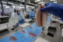 Com tilápia em alta, exportação paranaense de pescados cresceu 20% no 1º semestre de 2024