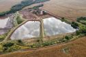 Com tilápia em alta, exportação paranaense de pescados cresceu 20% no 1º semestre de 2024