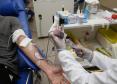 Com baixo estoque para sangues tipo O+ e O-, Paraná solicita doação de sangue