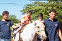 Criado há 9 anos, núcleo da UENP se destaca por terapia com cavalos
