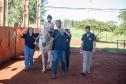 Criado há 9 anos, núcleo da UENP se destaca por terapia com cavalos