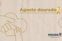 Rede de aleitamento materno e hospitais certificados ajudam milhares de bebês todos os anos - A Secretaria de Estado da Saúde (Sesa) possui a Rede Estadual de Bancos de Leite Humano, que atualmente conta com 15 bancos de leite humano (BLH) e 15 postos de coleta (PCLH) em todo Estado