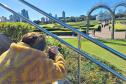 Paraná teve 2ª maior variação de turistas estrangeiros do país no primeiro semestre