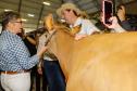 Governador assina acordo com Castrolanda para criação de Parque Tecnológico do Agroleite