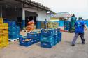Programa Comida Boa - O Dia Internacional de Conscientização sobre Perdas e Desperdício de Alimentos é comemorado no dia 29 de setembro.