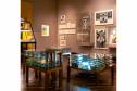 Museu Paranaense (MUPA) - Mostra “Ephemera/Perpétua” – Com caráter amplamente multidisciplinar, a exposição Ephemera/Perpétua traz mais de 180 peças do acervo do Museu Paranaense, que é um dos mais importantes da América Latina nos campos da antropologia, arqueologia e história.