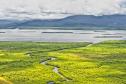 Paraná reduziu em 95% o desmatamento ilegal da Mata Atlântica entre 2021 e 2024, de acordo com dados do Instituto Água e Terra Foto: Denis Ferreira Netto/SEDEST-PR