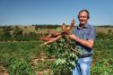 Comércio global: Paraná vendeu US$ 14,2 bilhões em alimentos e bebidas para 176 países em 2024