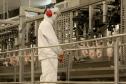 Supermercado do mundo: Paraná exporta mais alimentos que países como Japão, Portugal e Coreia do Sul