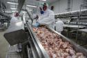 Comércio global: Paraná vendeu US$ 14,2 bilhões em alimentos e bebidas para 176 países em 2024