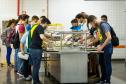 Governador sanciona lei que garante segurança alimentar a universitários no Paraná Foto: UEM
