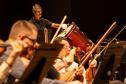 Famílias, movimentos, disposição no palco: confira como funciona uma orquestra sinfônica Foto: Roberto Dziura Jr/AEN