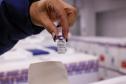 Vacinação contra a dengue é ampliada para mais 102 municípios do Paraná