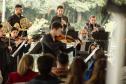 Famílias, movimentos, disposição no palco: confira como funciona uma orquestra sinfônica Foto: Vitor Dias/CCTG