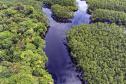 Recuperação de áreas verdes, combate ao desmatamento, cuidados com a água e a fauna e destinação correta dos resíduos sólidos: os indicadores que transformaram o Paraná em referência na proteção ao meio ambiente.