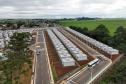 Construído com apoio do Estado, bairro planejado de Ponta Grossa recebe 293 novos moradores Foto: Ricardo Ribeiro/AEN