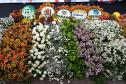 Ratinho Junior assina ordem de serviço do novo Mercado de Flores da Ceasa Curitiba