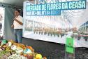 Ratinho Junior assina ordem de serviço do novo Mercado de Flores da Ceasa Curitiba