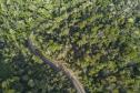 Confira dicas de passeios para curtir o feriado da Páscoa em meio à natureza do Paraná