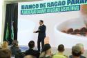Estado fará 80 mil atendimentos em programa itinerante de consultas e vacinas para cães e gatos