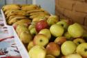 Paraná bate recorde de investimento em alimentos orgânicos nas escolas estaduais