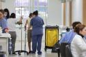 Paraná é o primeiro estado do Brasil a usar IA da Google para ajudar médicos no tratamento do câncer