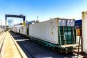 Portos do Paraná impulsiona exportação de frango e acelera transição energética no complexo