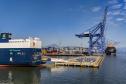Porto de Paranaguá assume vice-liderança nacional na movimentação de veículos