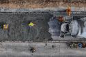 Paraná chega a quase mil quilômetros de rodovias e novas estradas em concreto