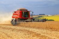  Chuvas favorecem plantio e produção estimada de soja é de 22,4 milhões de toneladas