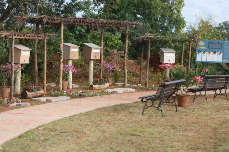 Colmeias do Poliniza Paraná