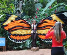 Foz do Iguaçu - Parque das Aves -