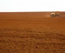 Paraná tem a melhor classificação do Brasil em potencialidade agrícola, segundo IBGE