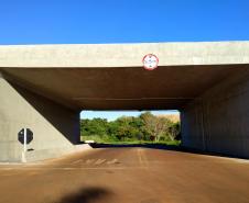 Governo abre licitação de R$ 13,6 milhões para reforma de pontes no Norte do Paraná