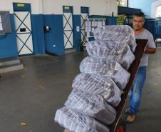 Governo inicia entrega de alimentos não perecíveis para merenda em 2,1 mil escolas