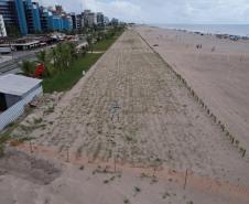 Revitalização da orla vai ampliar em quase cinco vezes a área de restinga nativa de Matinhos