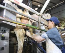 Com aumento em todas as faixas, Salário Mínimo Regional do Paraná será o maior do País