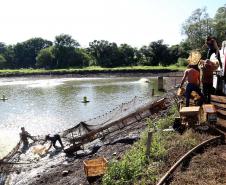 Com aumento em todas as faixas, Salário Mínimo Regional do Paraná será o maior do País