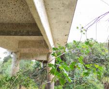 Reformas de pontes no Norte Pioneiro e viaduto em Ventania terão aporte de R$ 2,8 milhões