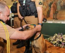 Casa Militar comemora 95 anos e condecora autoridades com medalhas de mérito