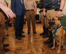 Casa Militar comemora 95 anos e condecora autoridades com medalhas de mérito