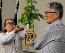 Mês da Mulher: conheça Vânia Cirino, cientista que democratizou o feijão no campo e na mesa