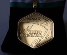 Referência em contas públicas, servidora paranaense recebe medalha de mérito