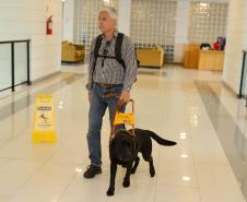 Conheça Rock e Roberto Leite, cão-guia e servidor cego que vão trabalhar no Governo do Paraná