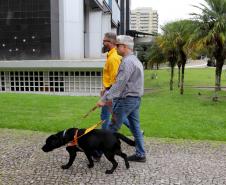 Conheça Rock e Roberto Leite, cão-guia e servidor cego que vão trabalhar no Governo do Paraná