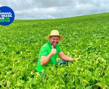 Paraná se destaca no melhoramento genético do feijão e garante maior produtividade