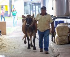 Na abertura da 61ª ExpoLondrina, governador destaca força do agronegócio paranaense