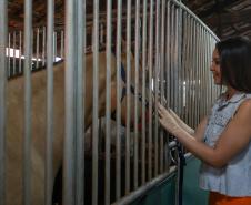 Na abertura da 61ª ExpoLondrina, governador destaca força do agronegócio paranaense
